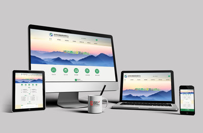 西安網站建設與蘭州網站建設 區域市場特色與發展策略探討