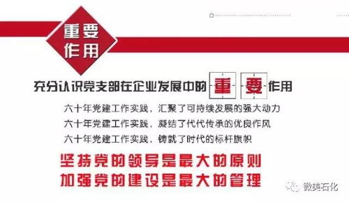 蘭州石化基層黨支部建設工作實踐與蘭州網站建設的協同發展
